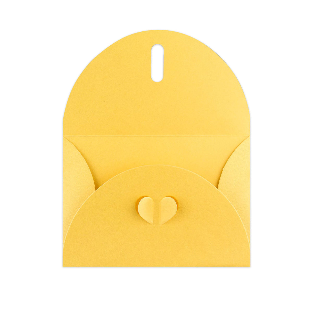 Butterflykonvolutter